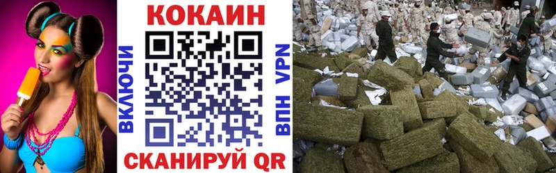 Купить закладки  Новодвинск  COCAIN 97% 