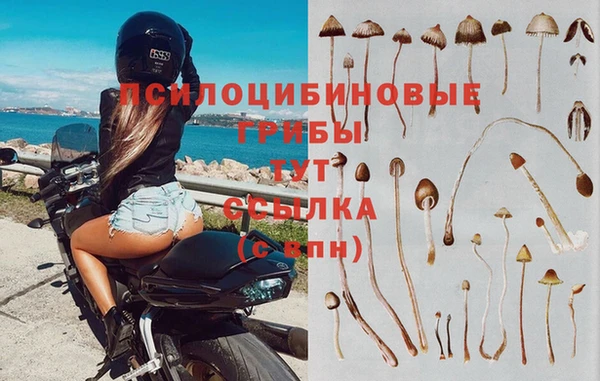 гашик Горно-Алтайск