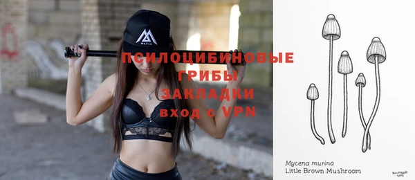 дмт Горняк