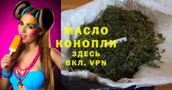 дмт Горняк