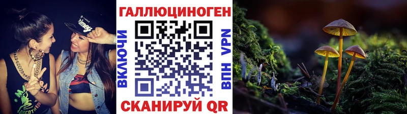 Купить где  Новодвинск  Псилоцибиновые грибы Psilocybe 
