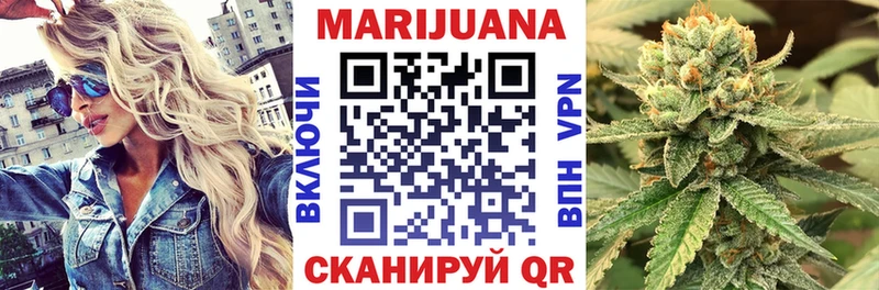 Купить закладки  Новодвинск  Бошки марихуана тримм 